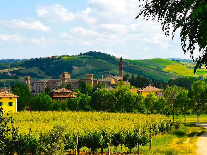 castelvetro e l'oro nero