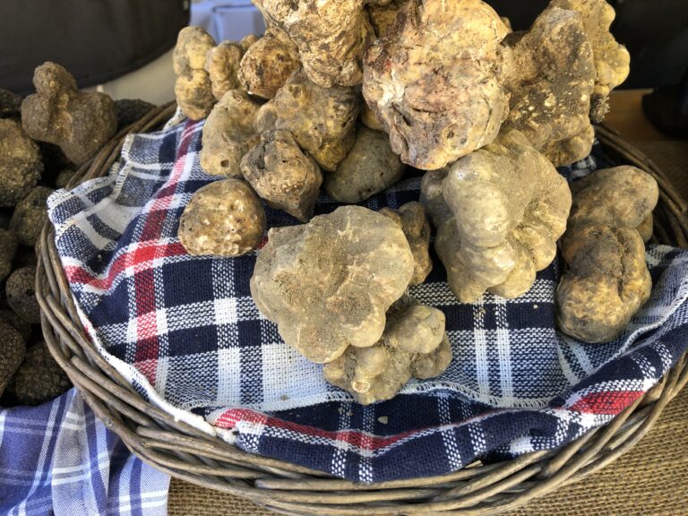 Tartufo Sant'Agata Feltria