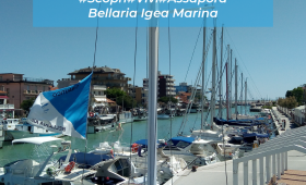 Bellariaigeamarina