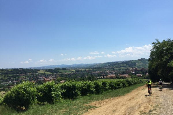 IMG_3686 Castelvetro